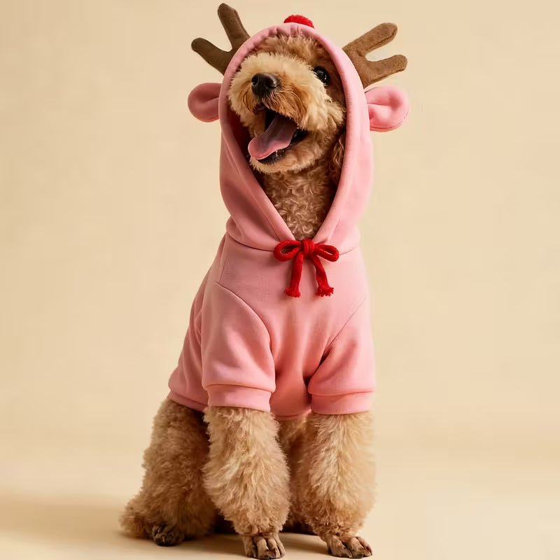 Pet Fashion Wear - Solosh
