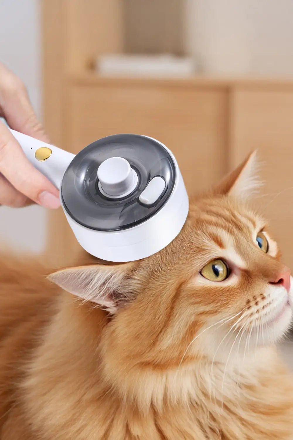 Pet Grooming Products - Solosh