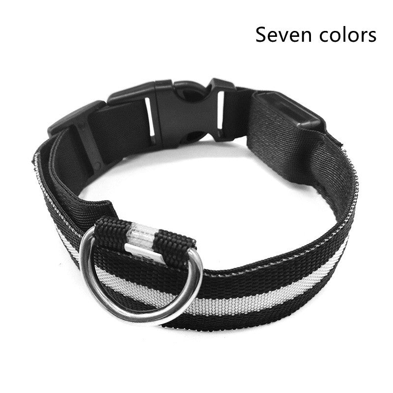 Night Safety LED Pet Collar