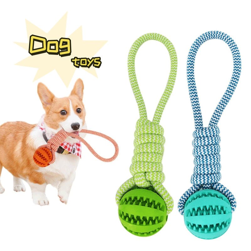 Rubber Chew Ball for Dogs - Solosh