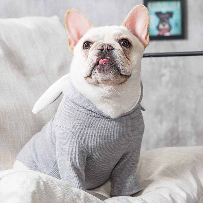 Comfortable Pet Clothing for Dogs
