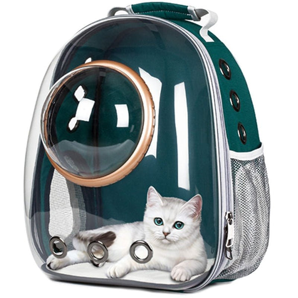 Transparent Cat Carrier Bag - Solosh
