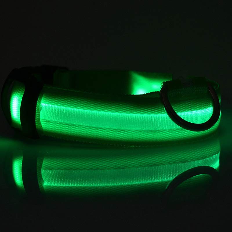 Night Safety LED Pet Collar
