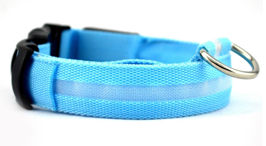 Night Safety LED Pet Collar