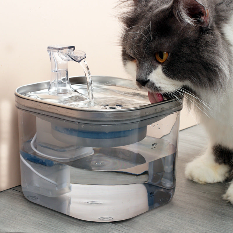 Stainless Steel Pet Water Fountain for Cats & Dogs