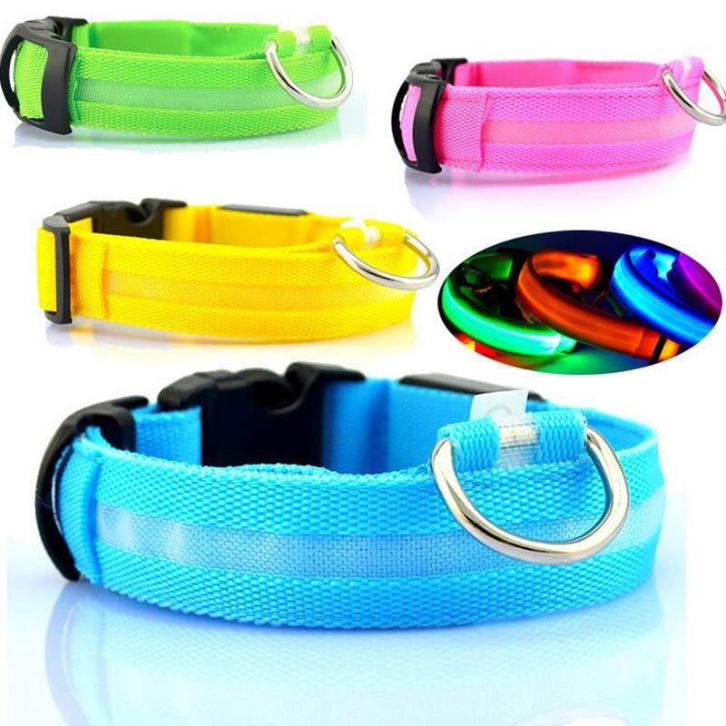 Night Safety LED Pet Collar