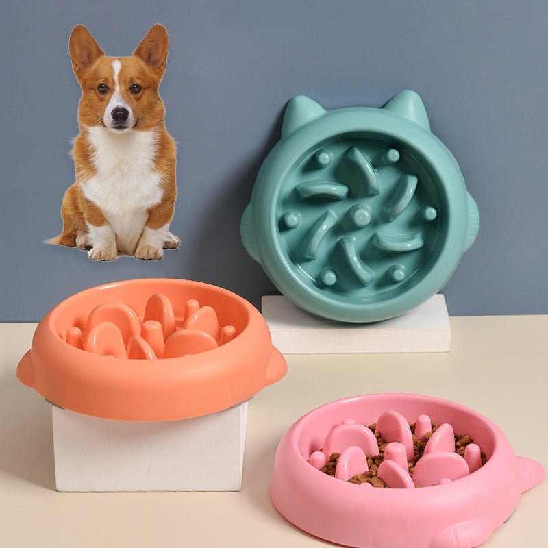 Slow Feeder Pet Bowl | Anti - Choking Design for Dogs & Cats - Solosh