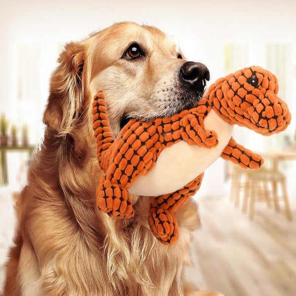 Dinosaur Interactive Dog Toy - Solosh