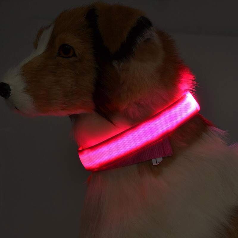 Night Safety LED Pet Collar