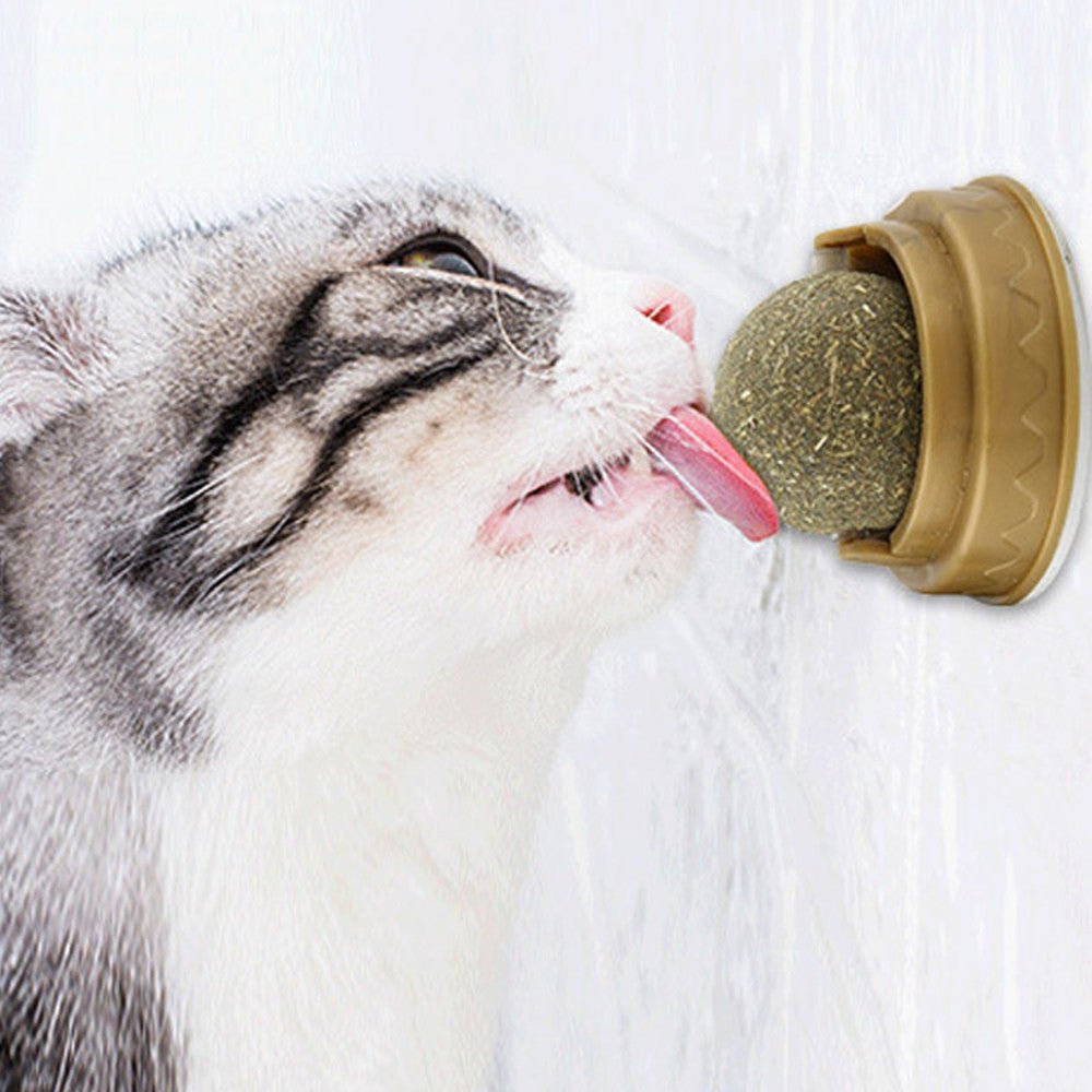 Catnip Balls Teeth Cleaning Toy - Solosh