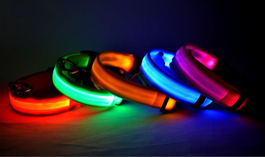 Night Safety LED Pet Collar