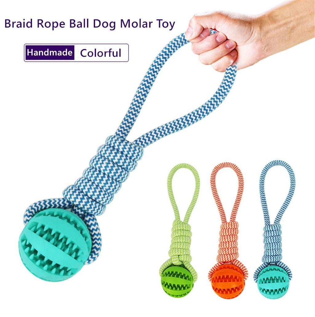 Rubber Chew Ball for Dogs - Solosh