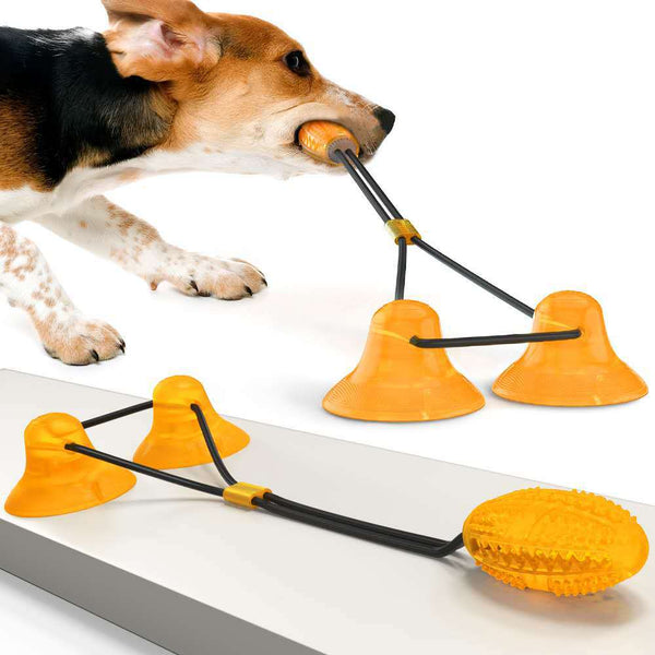 Suction Cup Chew Toy for Pet