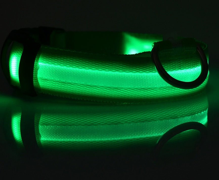 Night Safety LED Pet Collar - Solosh