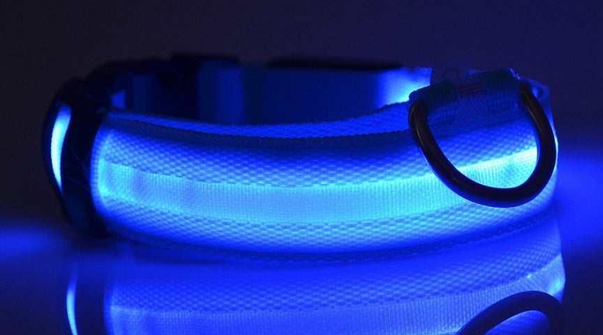 Night Safety LED Pet Collar