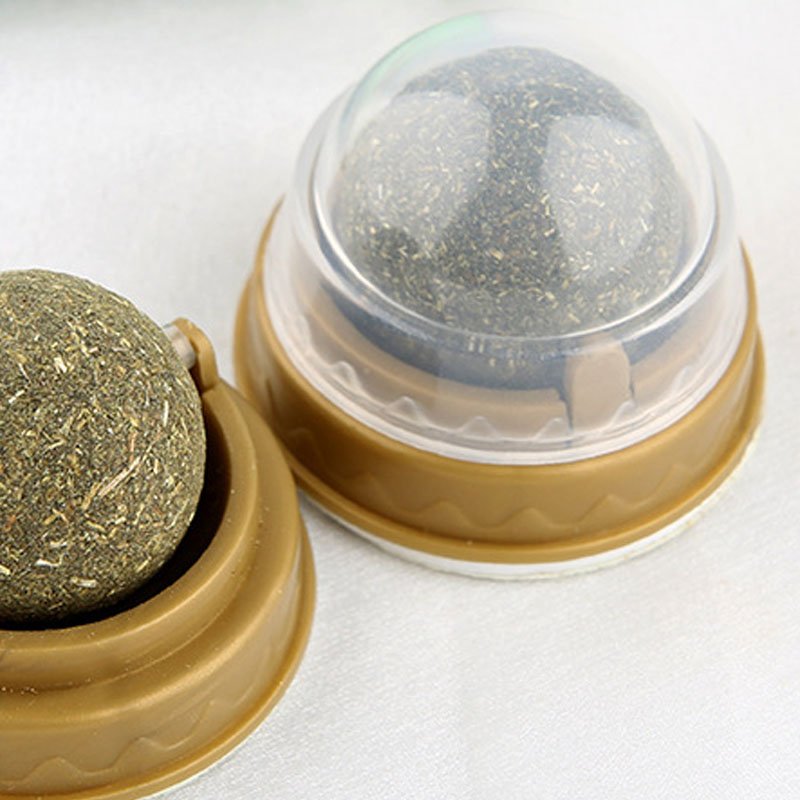 Catnip Balls Teeth Cleaning Toy - Solosh