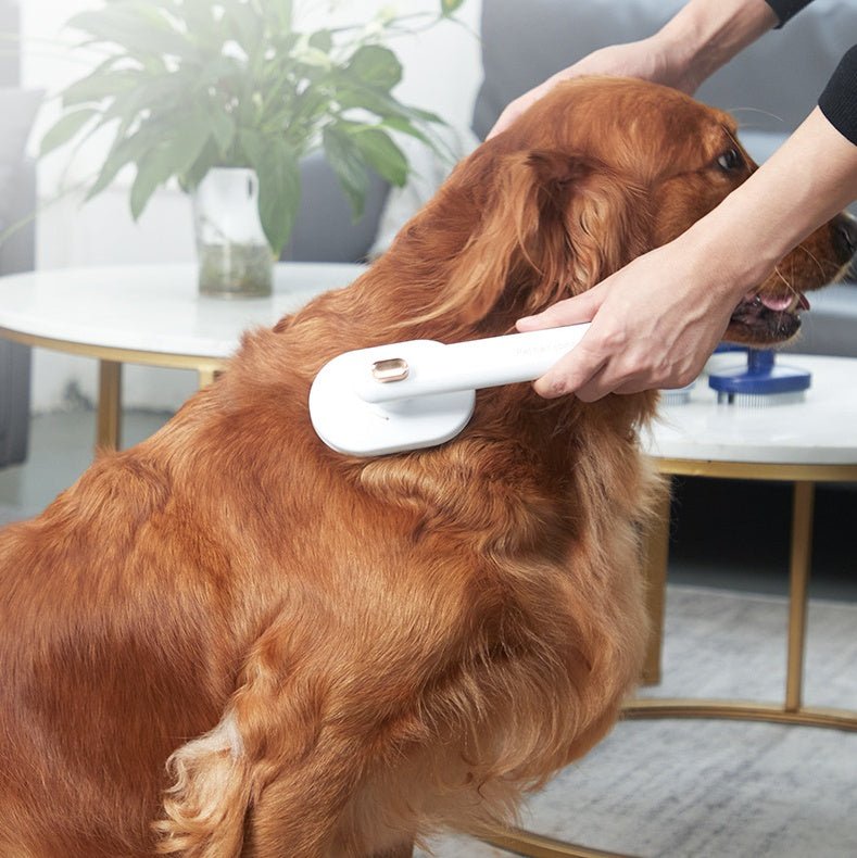 Self - Cleaning Pet Hair Removal Comb - Solosh
