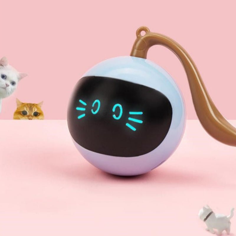 Colorful LED Rotating Pet Toy - Solosh