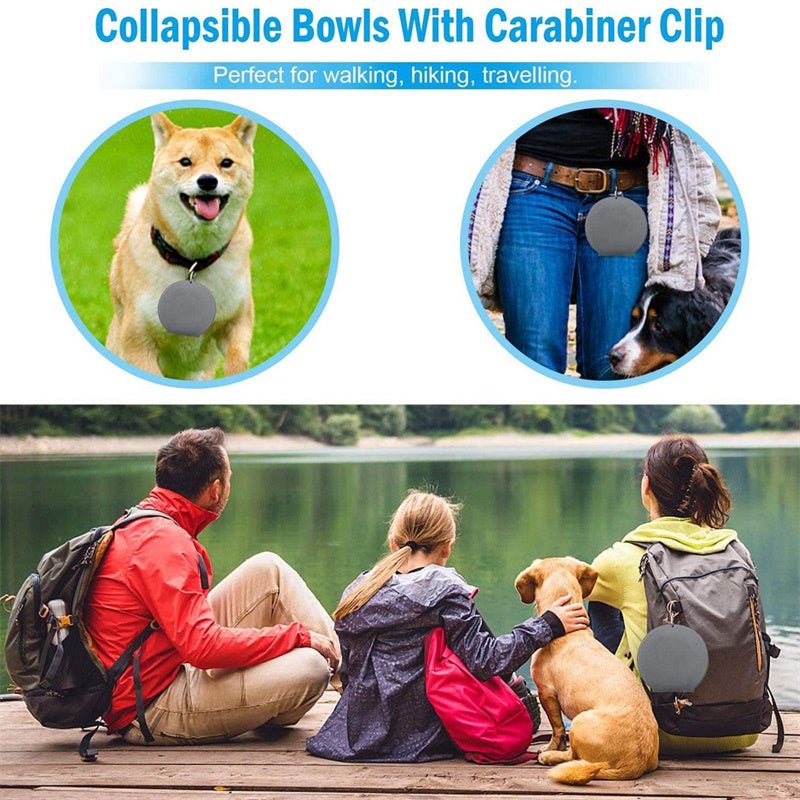 Foldable Double Pet Bowl | Portable Rubber Feeding Bowl for Cats & Dogs - Solosh