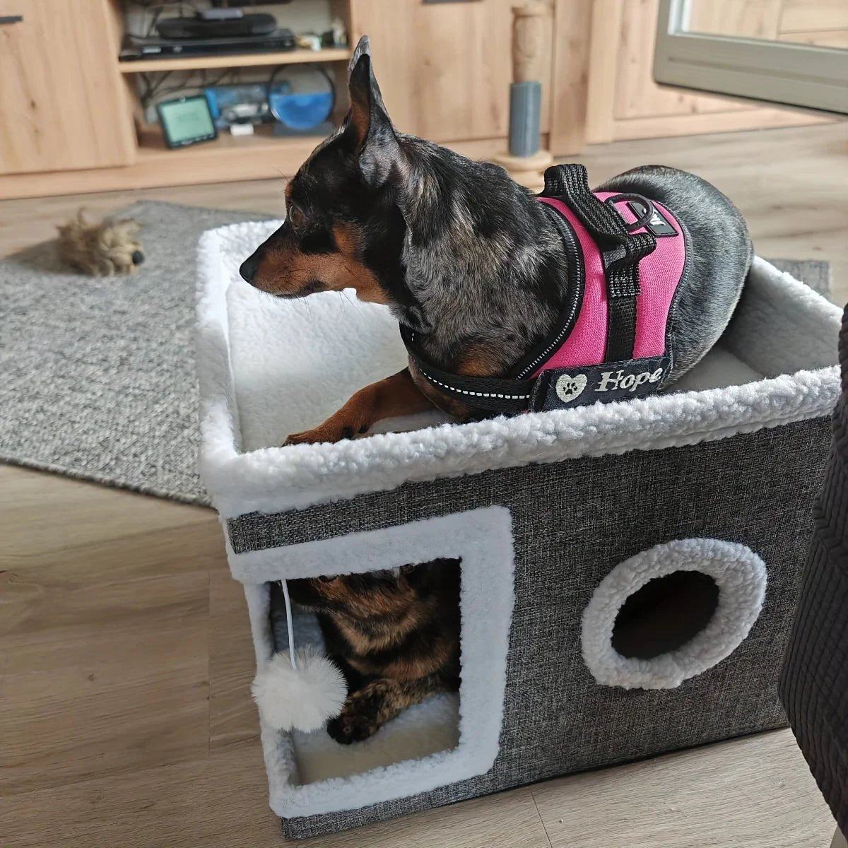 Indoor Foldable Cat House with Scratcher - Solosh