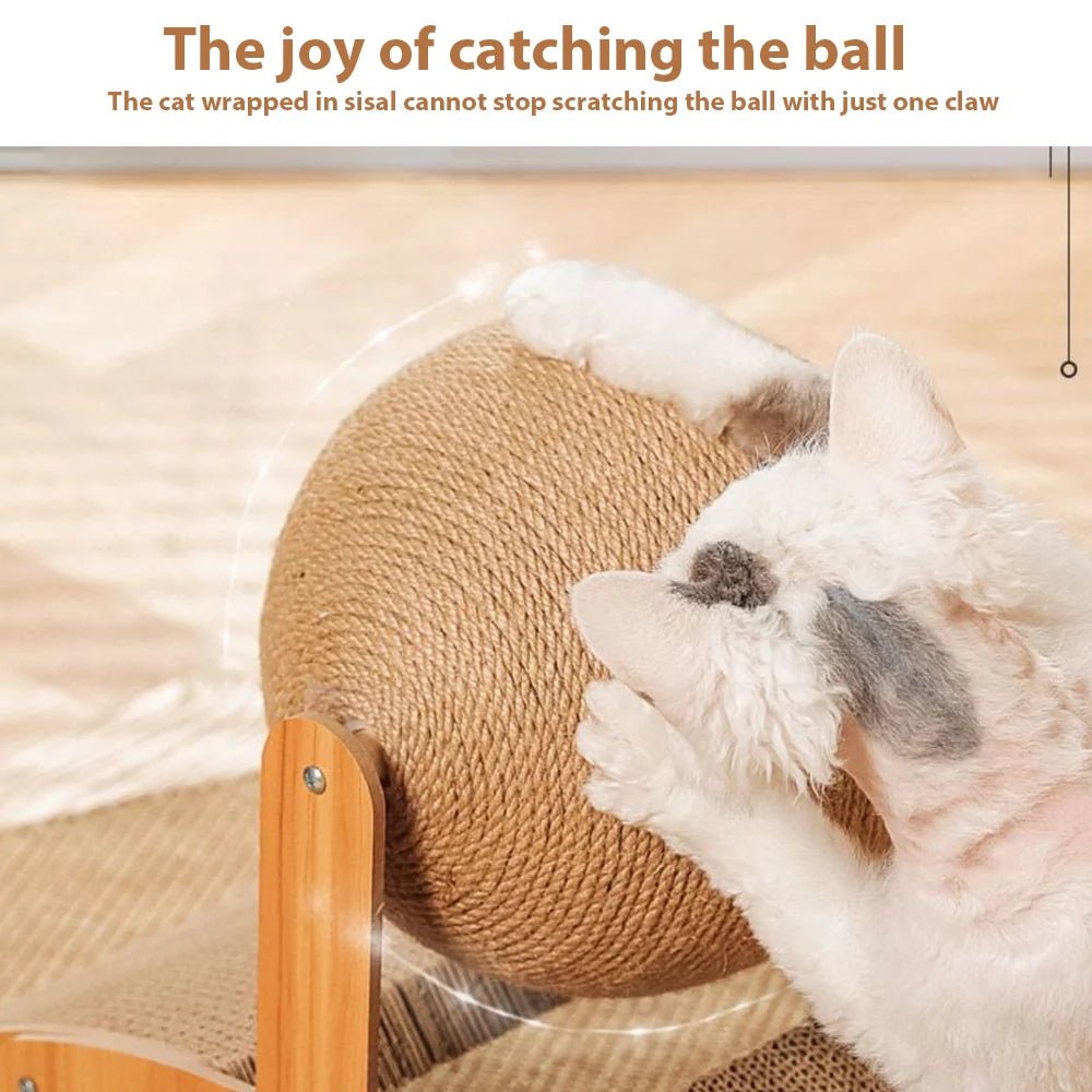 Interactive Cat Scratching Ball Toy - Solosh