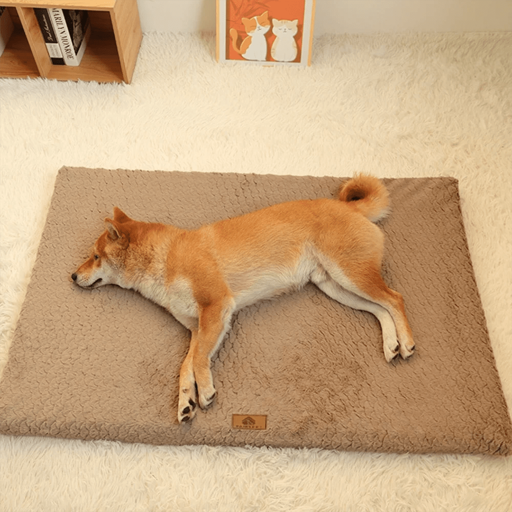 Removable Cover Orthopedic Dog Bed - Solosh