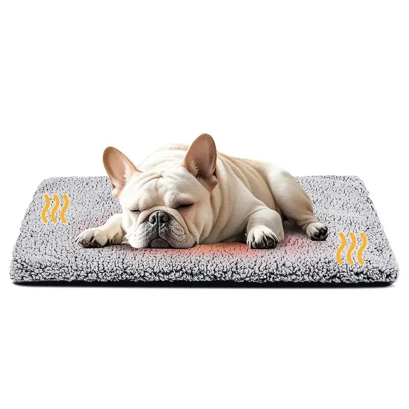 Anti - Slip Self - Heating Pet Bed Pad - Solosh