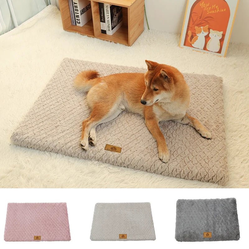 Removable Cover Orthopedic Dog Bed - Solosh