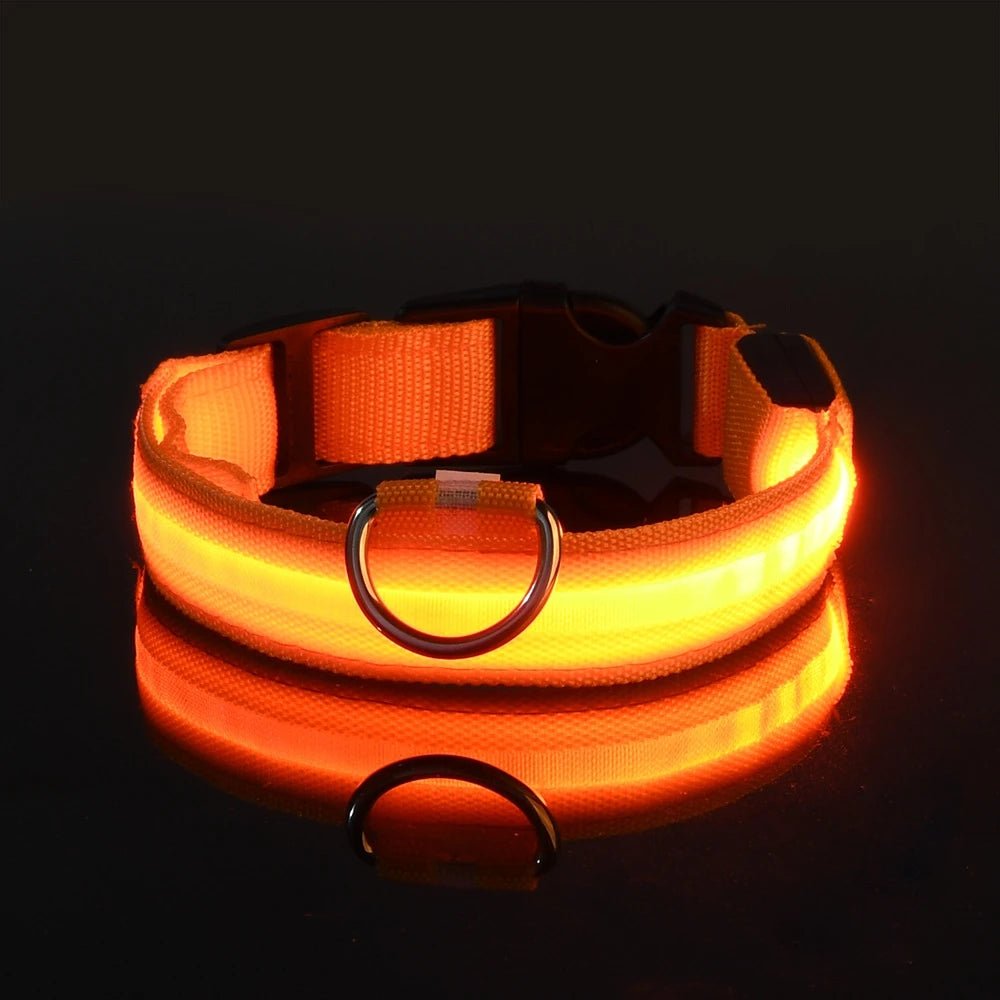 Flashing Night Safety Dog Leash - Solosh