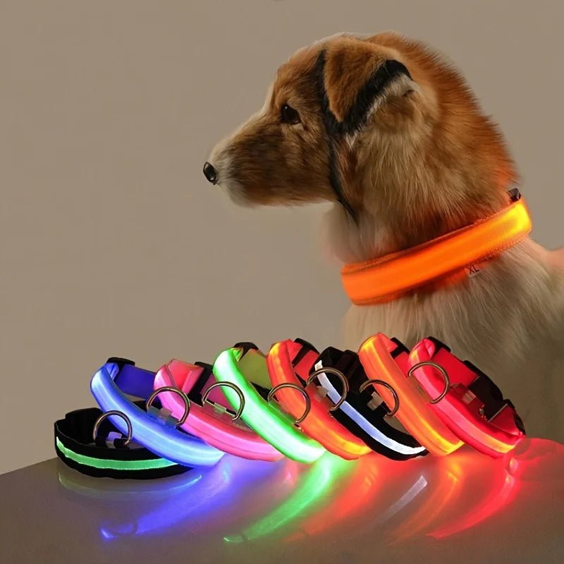 Flashing Night Safety Dog Leash - Solosh