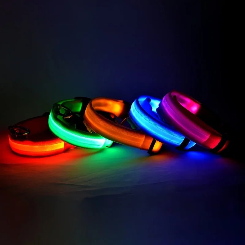 Flashing Night Safety Dog Leash - Solosh