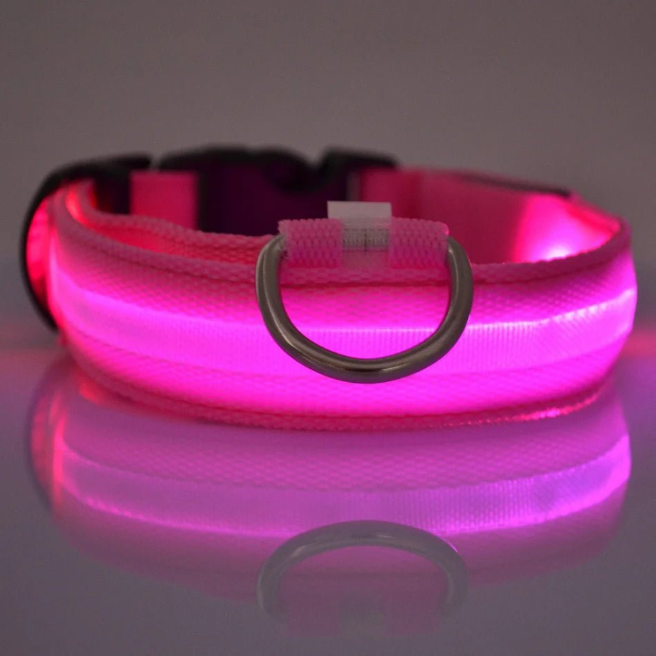 Flashing Night Safety Dog Leash - Solosh