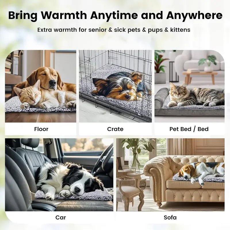 Anti - Slip Self - Heating Pet Bed Pad - Solosh