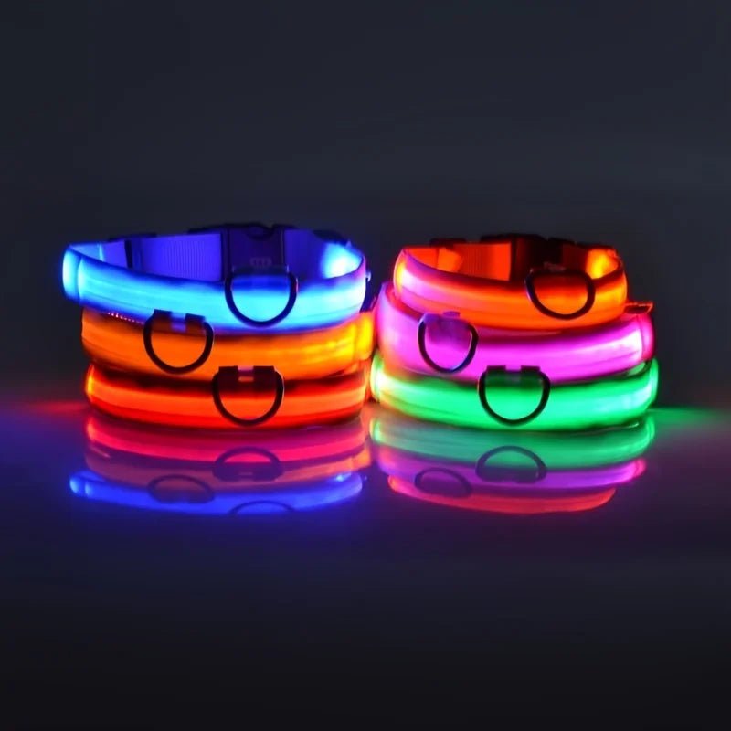 Flashing Night Safety Dog Leash - Solosh
