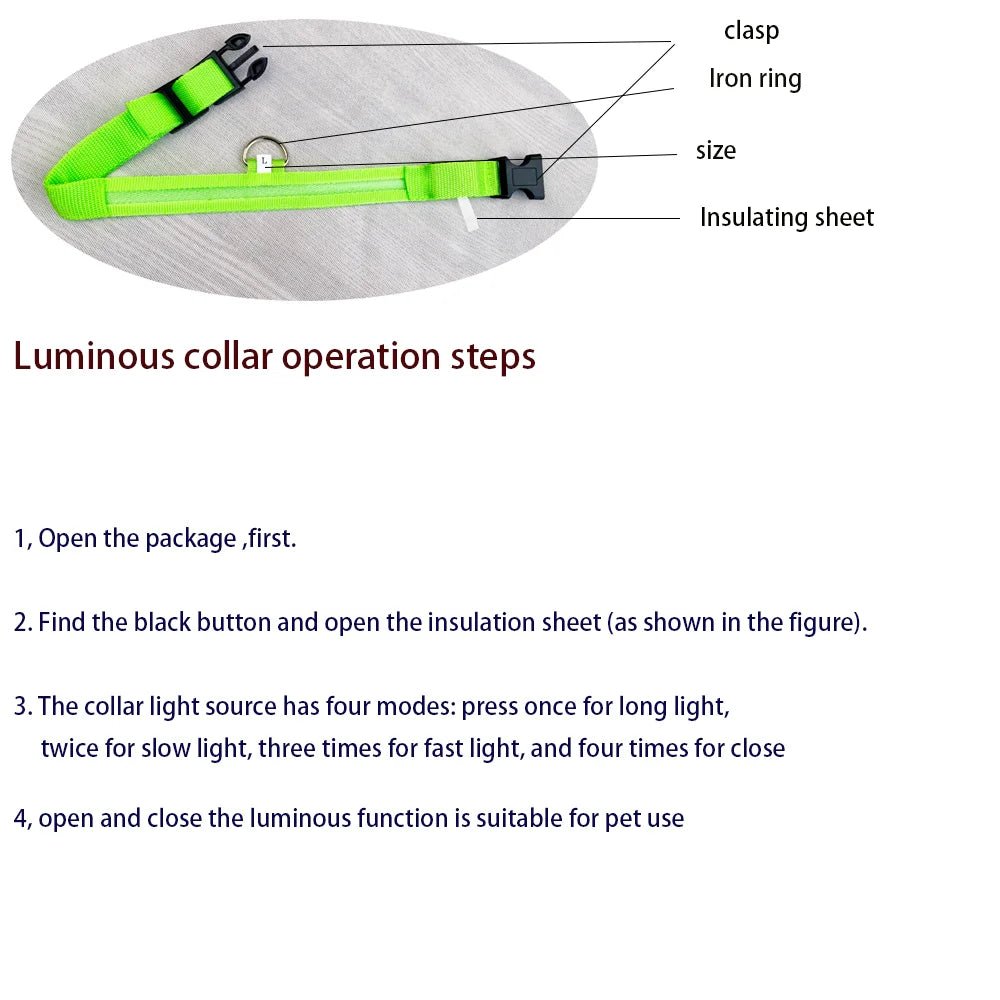 Flashing Night Safety Dog Leash - Solosh