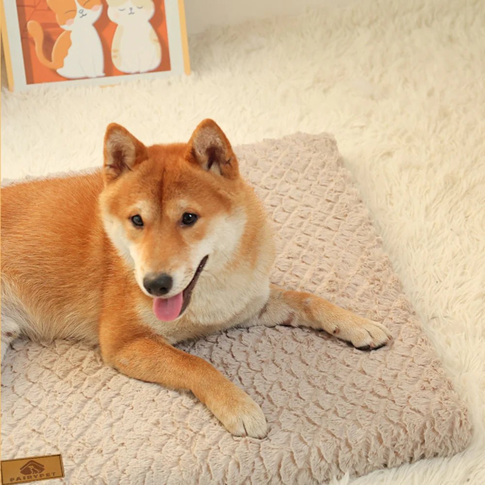 Removable Cover Orthopedic Dog Bed - Solosh