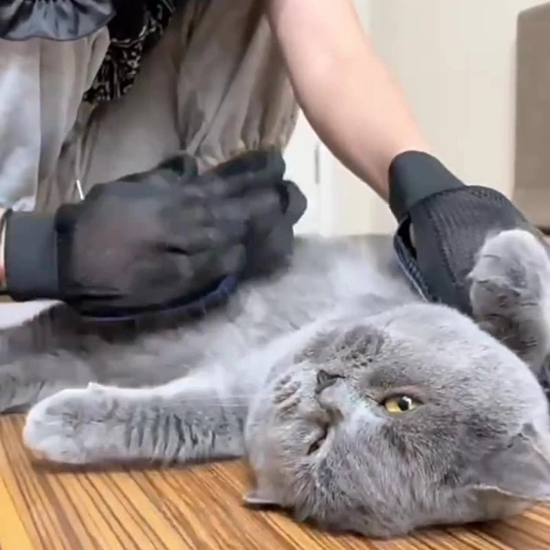 Silicone Pet Grooming Gloves - Solosh