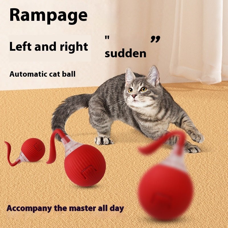 Automatic Rolling Ball for Pet - Solosh