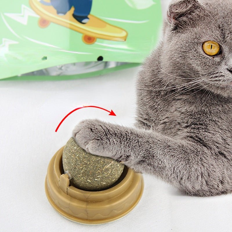 Catnip Balls Teeth Cleaning Toy - Solosh