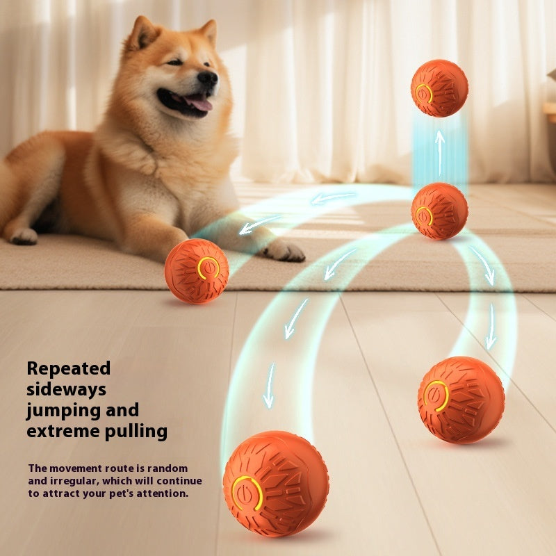 Electric Jumping Ball Dog Toy
