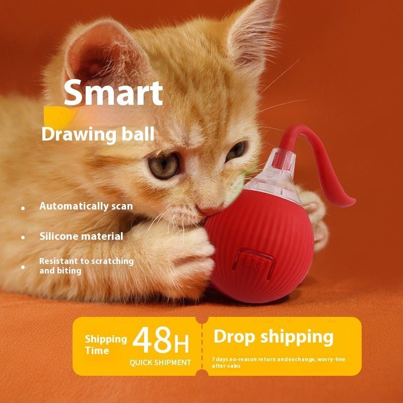 Automatic Rolling Ball for Pet - Solosh