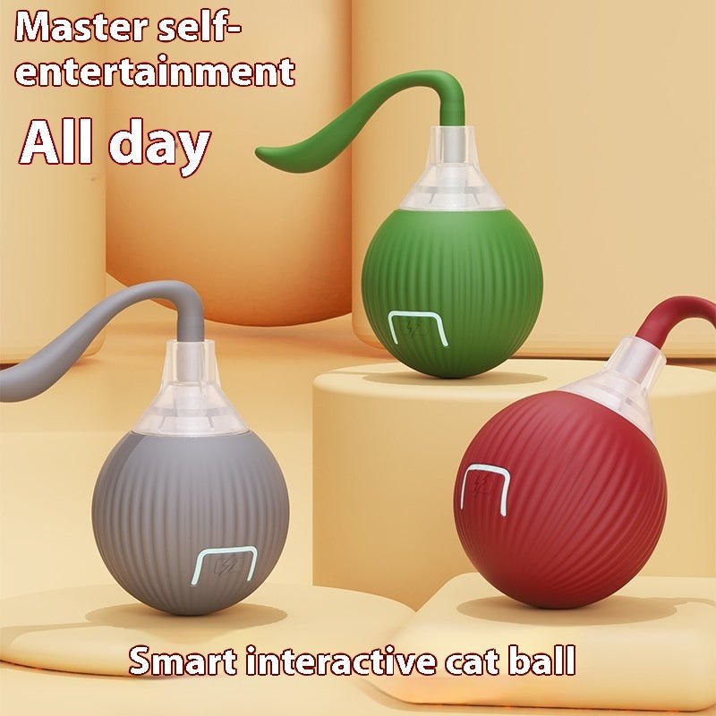 Automatic Rolling Ball for Pet - Solosh