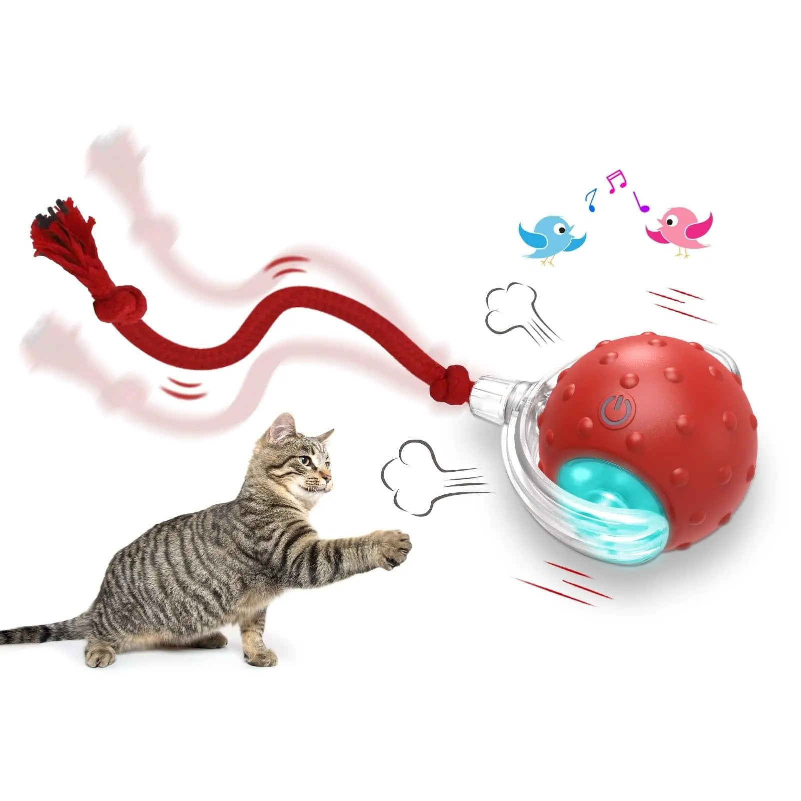 Automatic Rolling Ball for Pet - Solosh