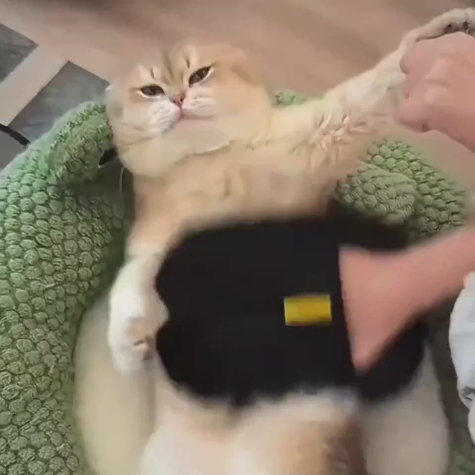 Grooming Glove for Pet Hair Video - Solosh 